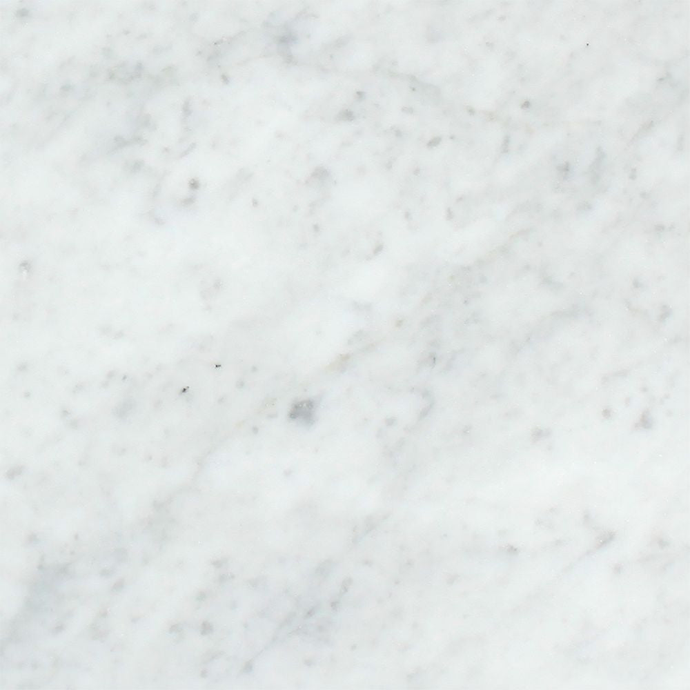 12 x 12 Polished Bianco Carrara Marble Tile Sample - Tilephile