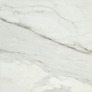 12 x 12 Polished Calacatta Gold Marble Tile - Tilephile