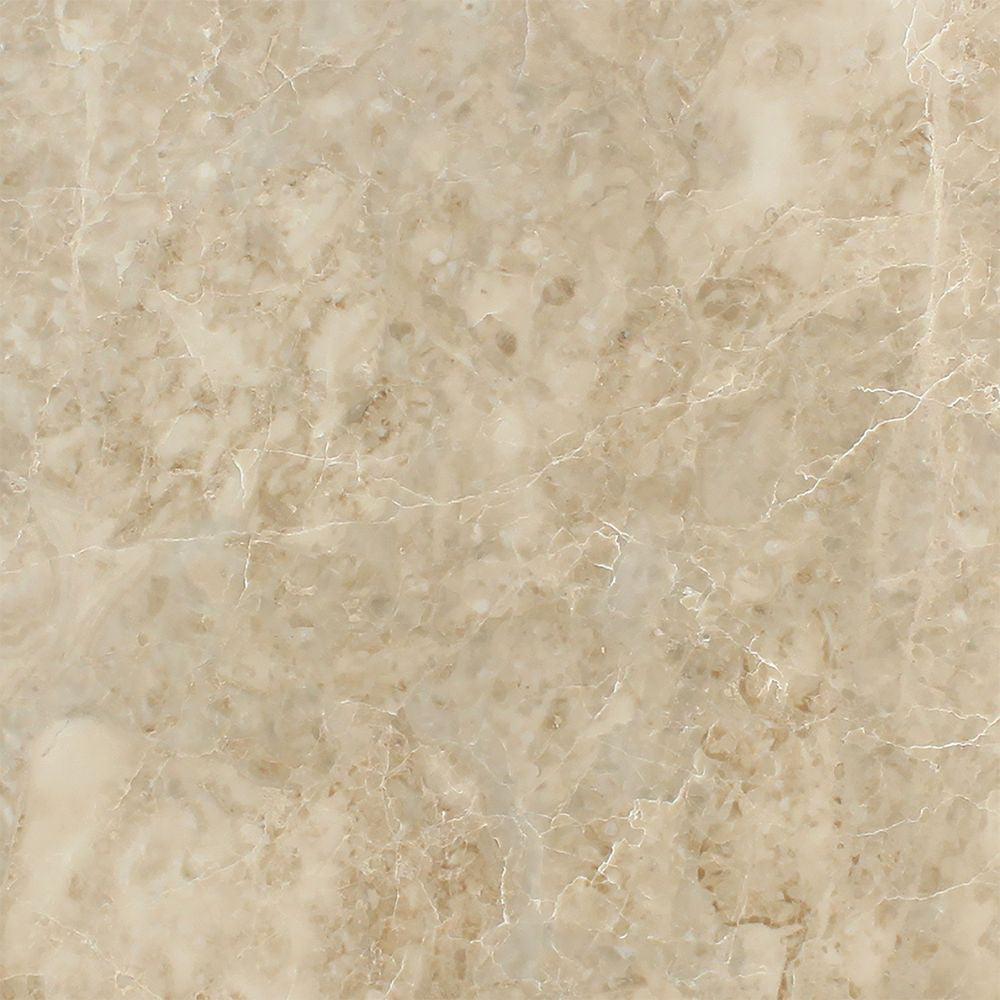 12 x 12 Polished Cappuccino Marble Tile - Tilephile