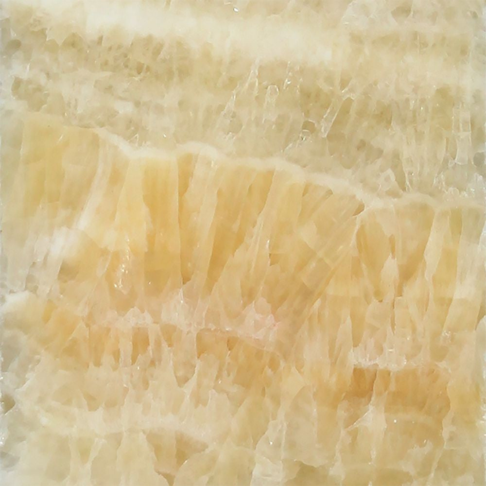12 x 12 Polished Honey Onyx Tile - Tilephile