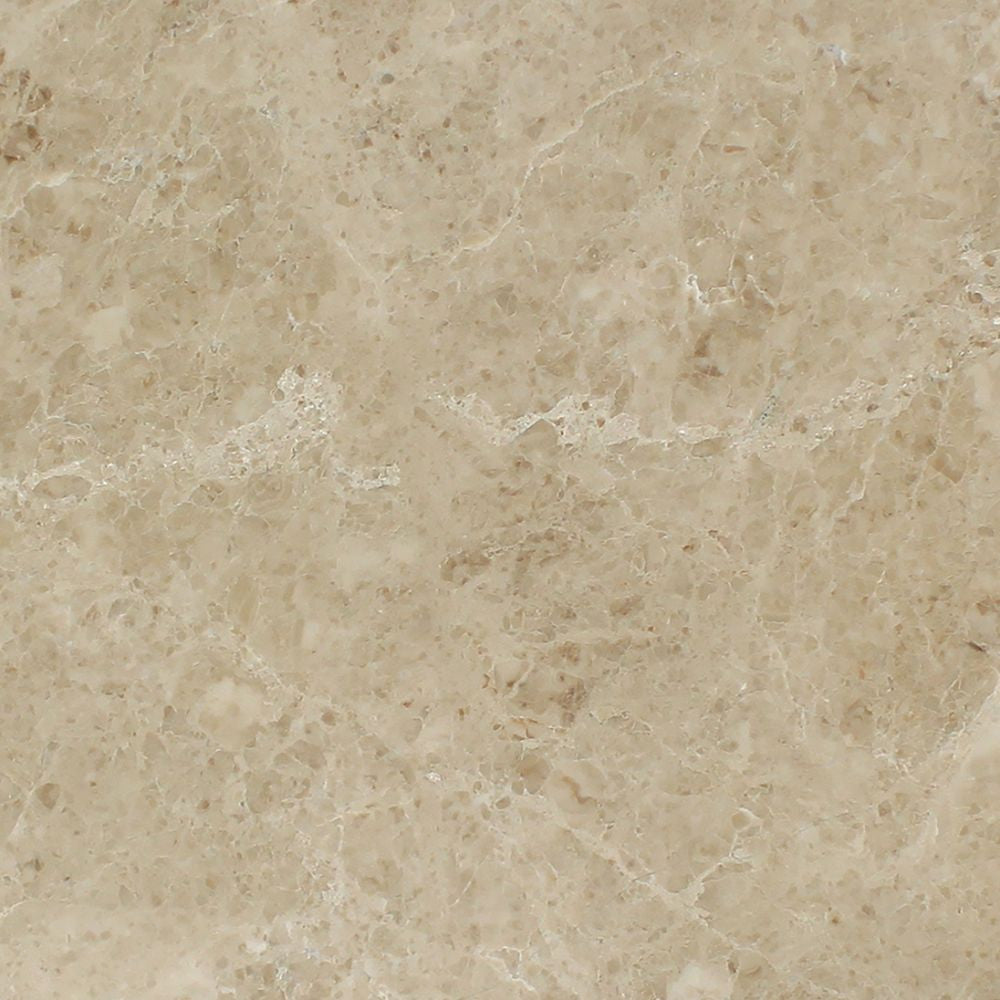24 x 24 Polished Cappuccino Marble Tile - Tilephile